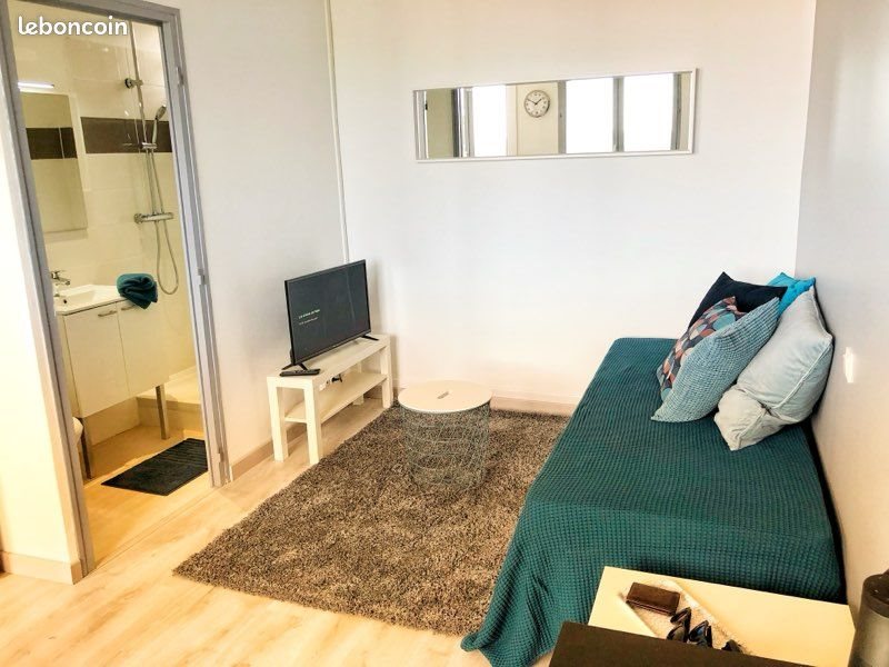 Appartement à louer, 20m², Saint-Étienne