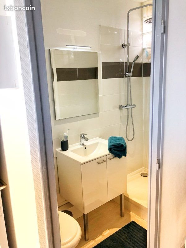 Appartement à louer, 20m², Saint-Étienne