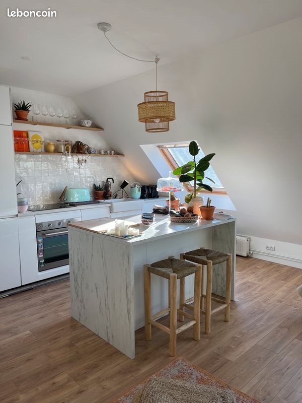 Appartement à louer, 54m², Lille