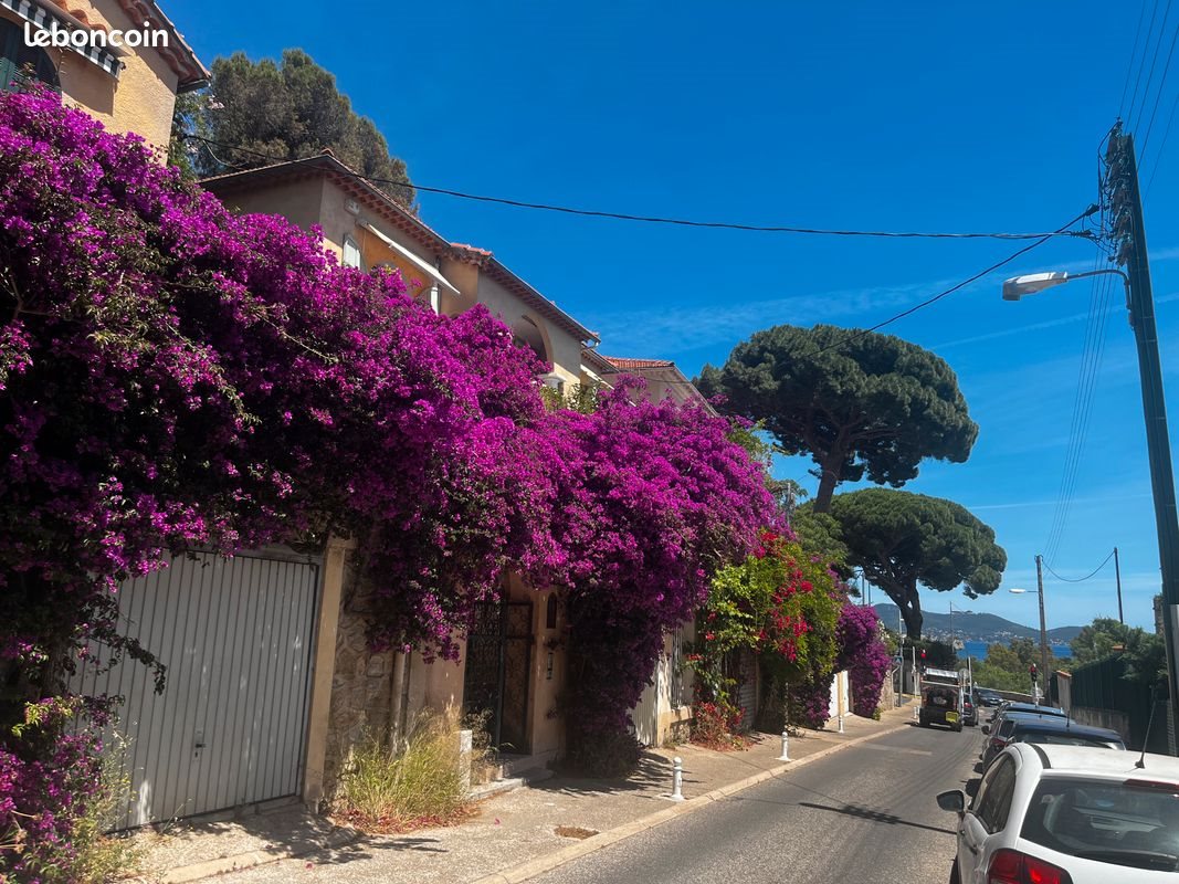 Appartement à louer, 16m², Toulon