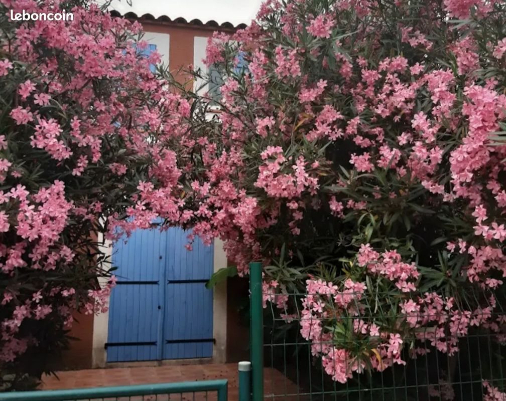 Maison à louer, 72m², Torreilles