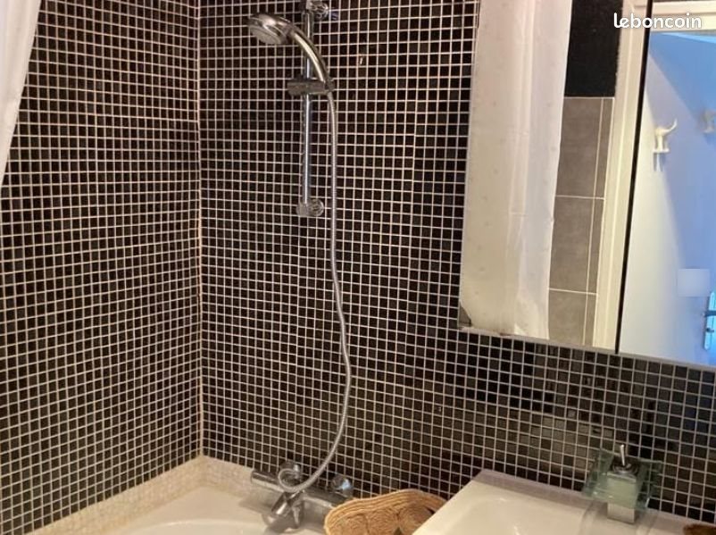Appartement à louer, 32m², Saint-Etienne