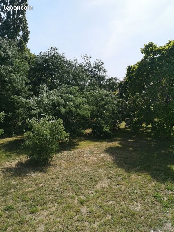 Appartement à louer, 32m², Montendre