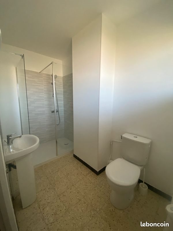 Appartement à louer, 30m², Mende
