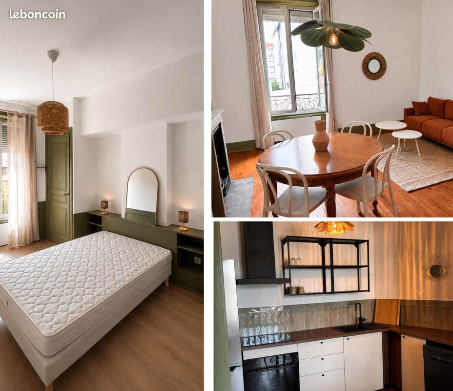 Appartement à louer, 46m², Oullins