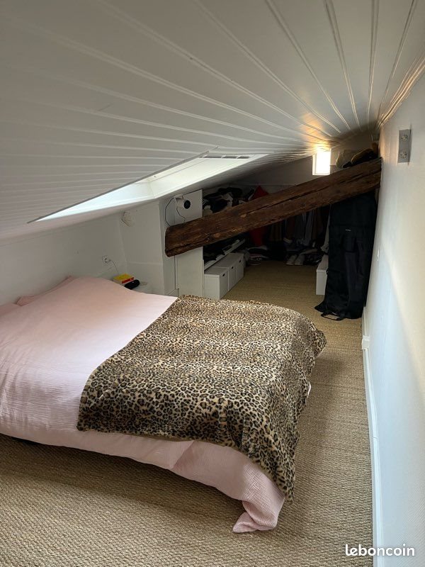Appartement à louer, 47m², Lyon 2ème