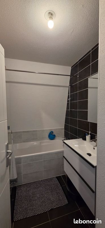 Appartement à louer, 60m², Kembs