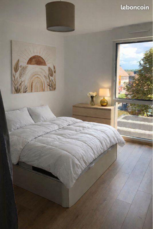 Appartement à louer, 47m², Blaesheim