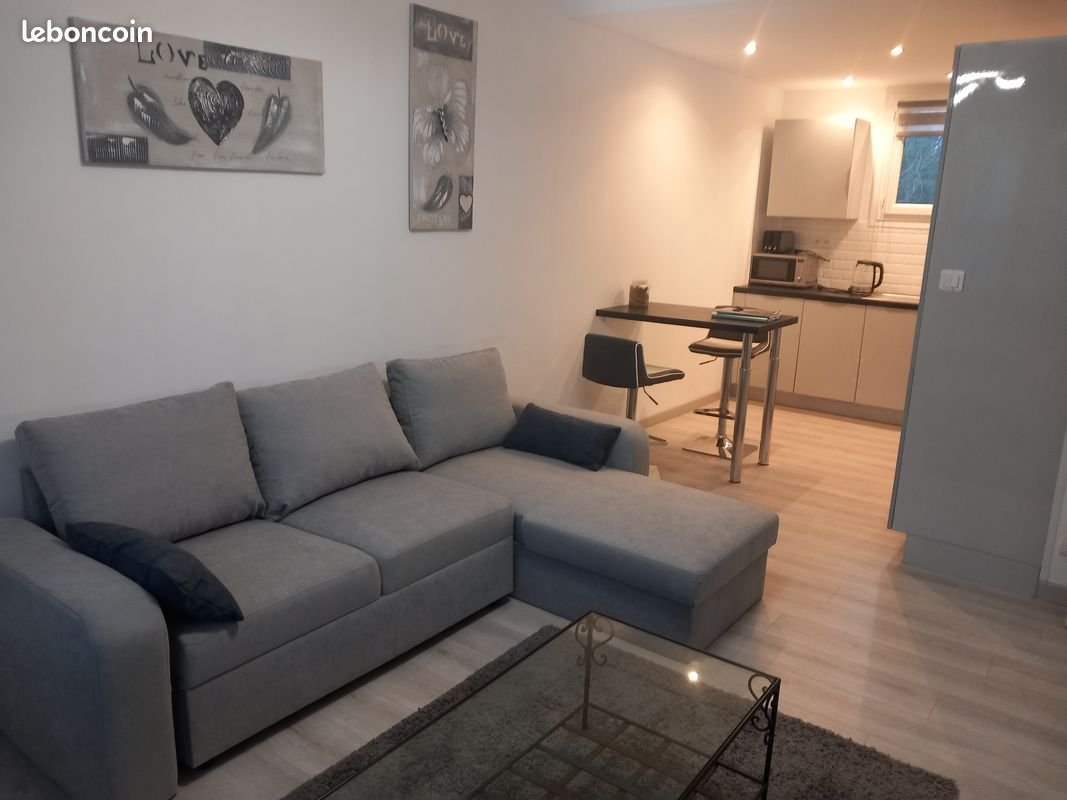 Appartement à louer, 42m², Tours