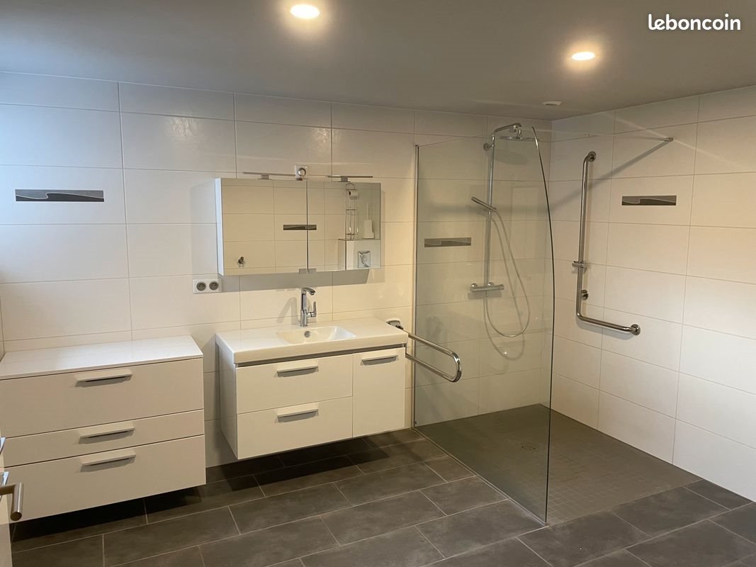 Appartement à louer, 100m², Salmbach