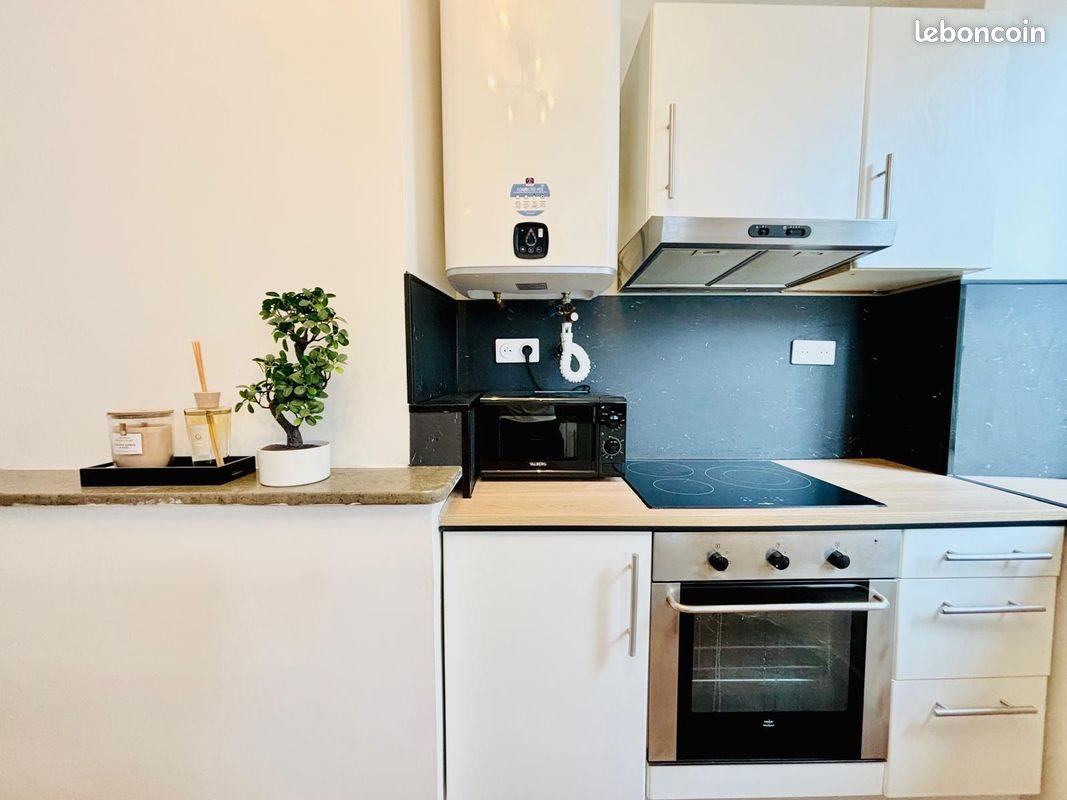 Appartement à louer, 36m², Saint-Étienne