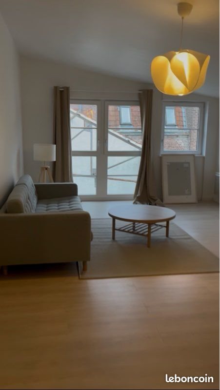 Appartement à louer, 48m², Lille
