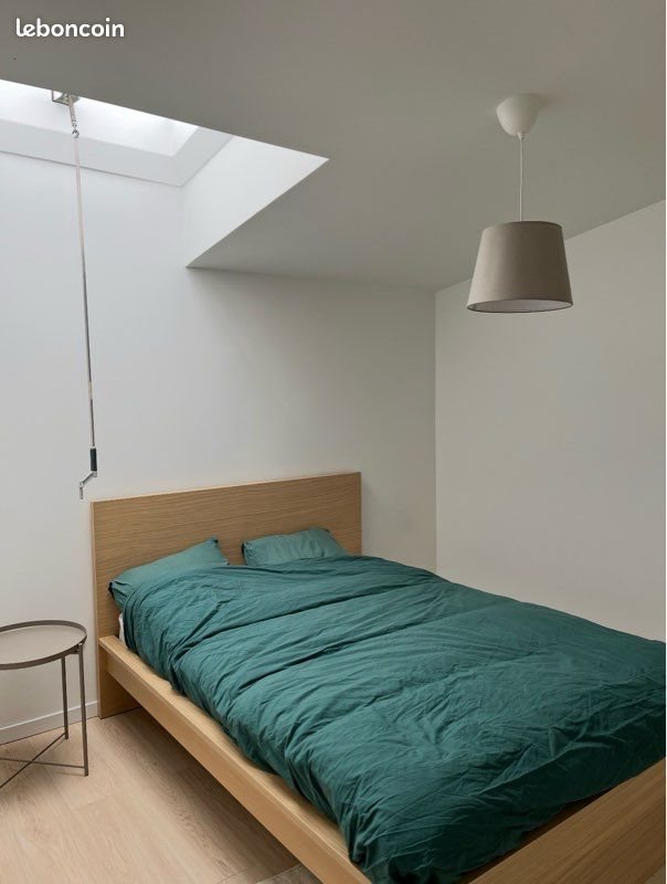 Appartement à louer, 48m², Lille