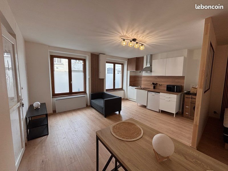 Appartement à louer, 34m², Saint-Etienne