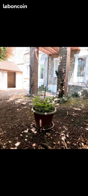Appartement à vendre, 34m², Septeuil