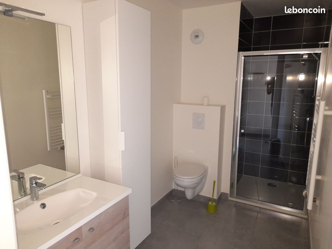 Appartement à louer, 21m², Nancy