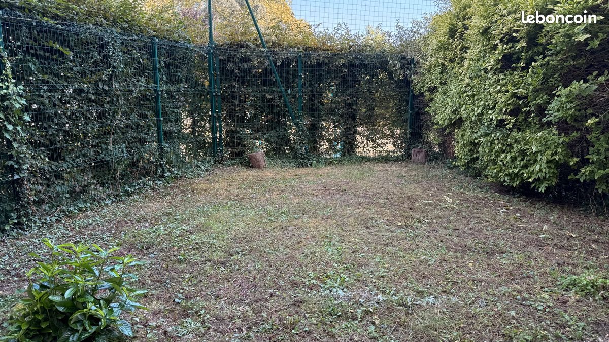 Appartement à louer, 37m², Saint-Etienne