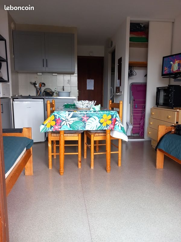 Appartement à vendre, 20m², Cazaubon
