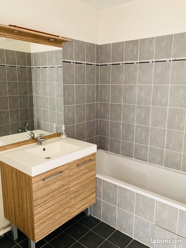 Appartement à louer, 44m², Lyon 7ème
