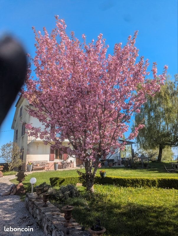 Maison à vendre, 1m², Saint-Paul-en-Chablais