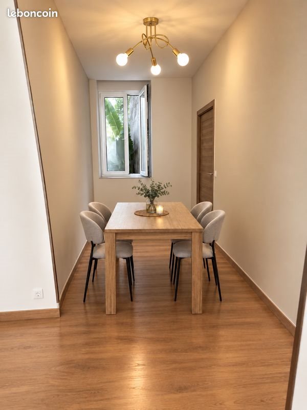 Appartement à louer, 45m², Saint-Étienne