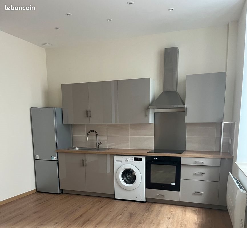 Appartement à louer, 45m², Saint-Étienne