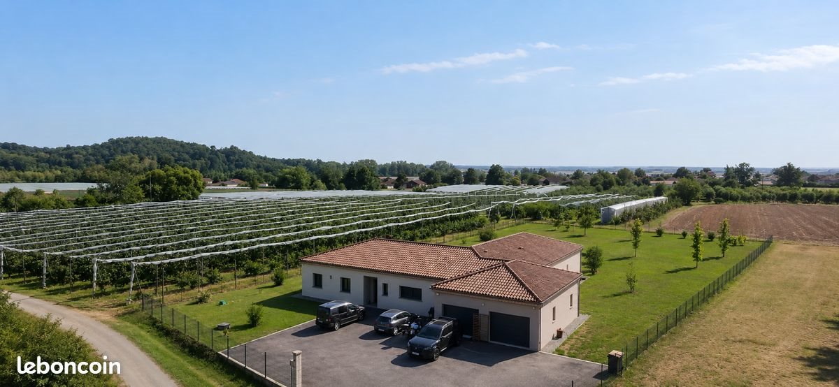 Maison à vendre, 194m², Moissac