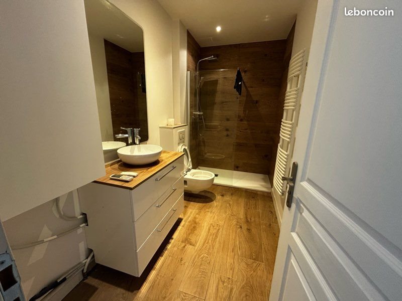 Appartement à louer, 36m², Villeurbanne