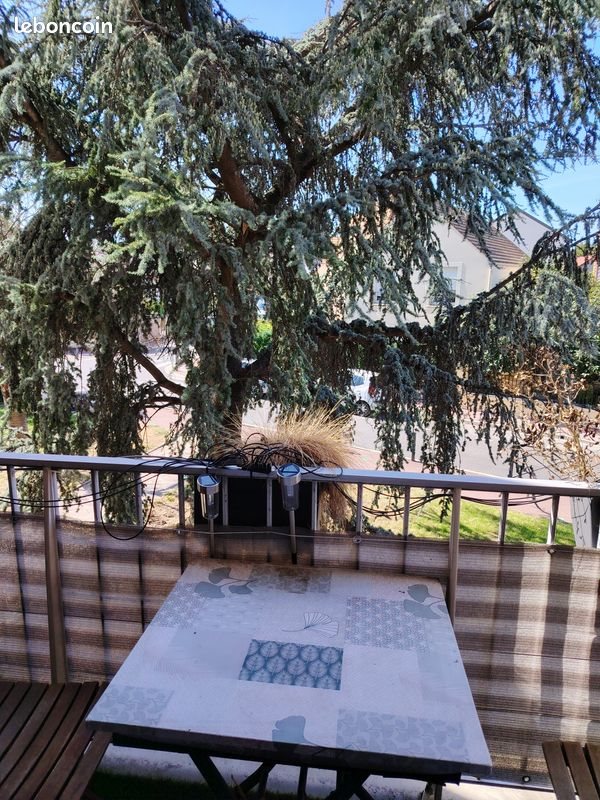 Appartement à louer, 40m², Antony