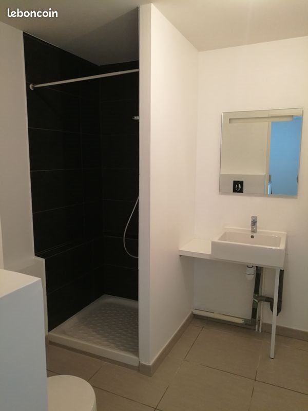 Appartement à louer, 27m², Ecully