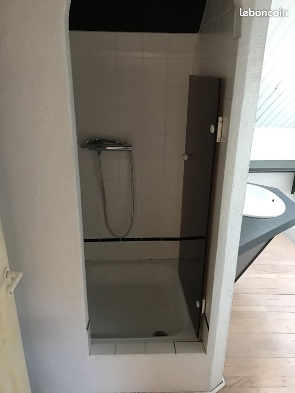 Appartement à louer, 44m², Colmar