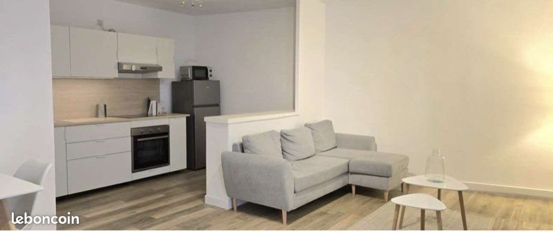 Appartement à louer, 59m², Saint-Étienne