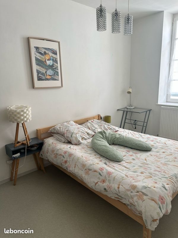 Appartement à louer, 60m², Castres