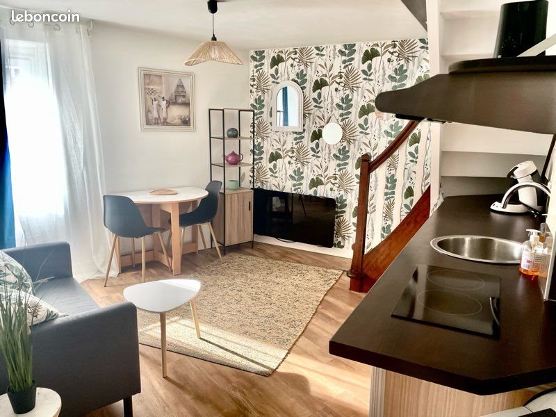 Appartement à louer, 30m², Millau