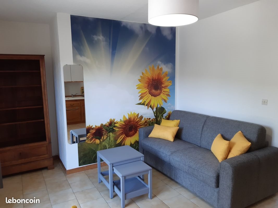 Appartement à louer, 40m², Pont-Saint-Esprit