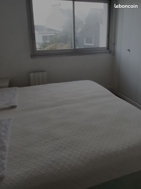 Appartement à louer, 44m², Vannes