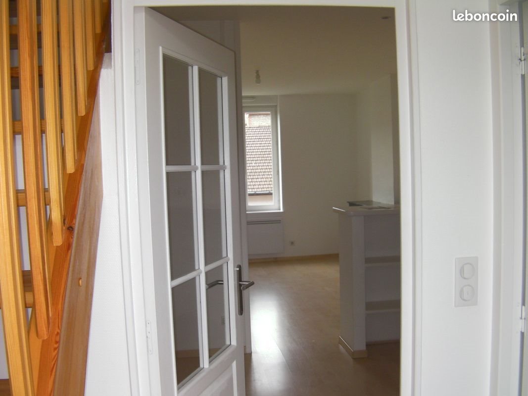 Appartement à louer, 50m², Firminy
