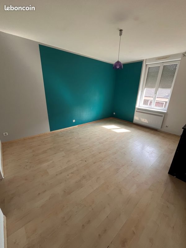 Appartement à louer, 50m², Firminy
