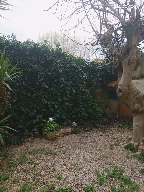 Appartement à louer, 50m², Trans-en-Provence