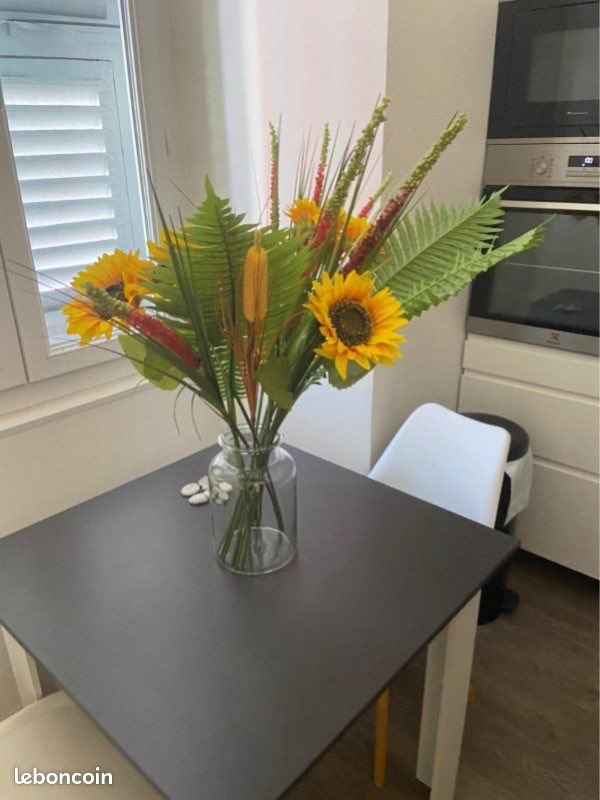 Appartement à louer, 30m², Bastia