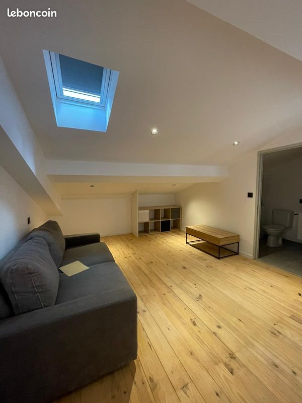 Appartement à louer, 28m², Saint-Etienne