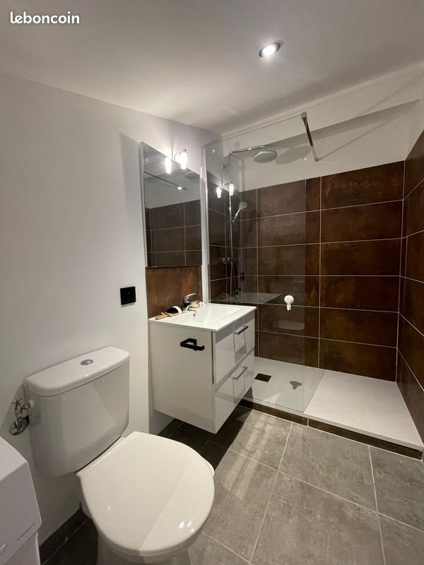 Appartement à louer, 28m², Saint-Etienne