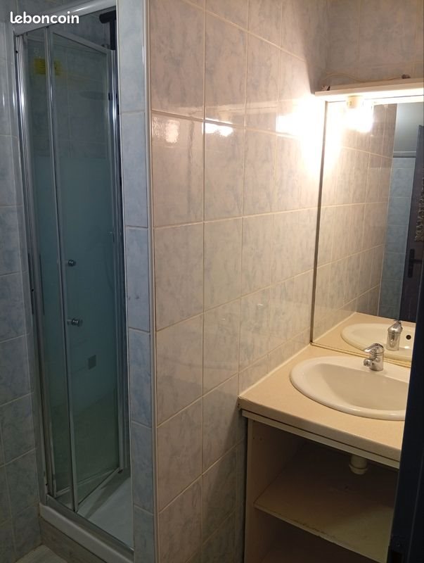 Appartement à louer, 25m², Nancy