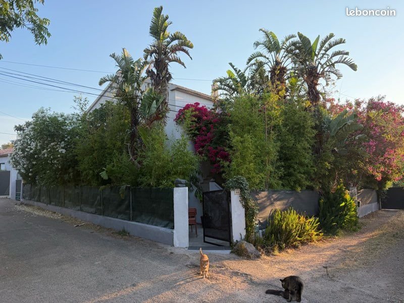 Maison à vendre, 200m², Pianottoli-Caldarello