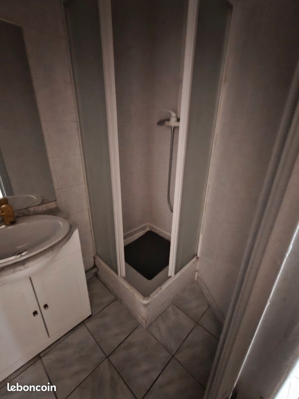 Appartement à louer, 55m², Villeurbanne