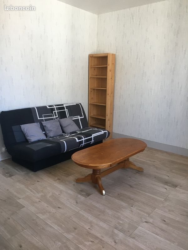 Appartement à louer, 47m², Chabris