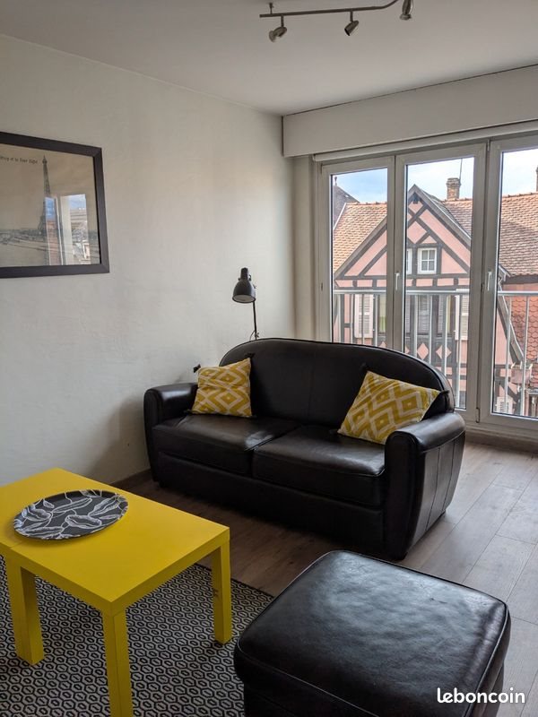 Appartement à louer, 46m², Colmar