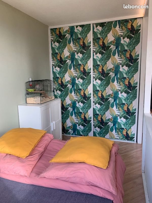 Appartement à louer, 30m², Anglet