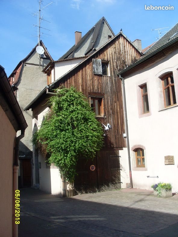 Appartement à louer, 30m², Colmar