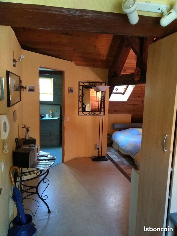 Appartement à louer, 30m², Colmar
